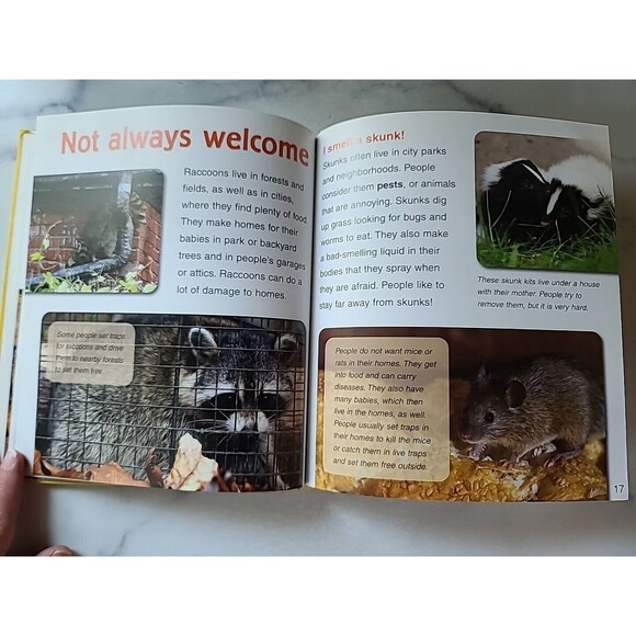 Baby Animals In Cities By Bobbie Kalman - Picture 7 of 10